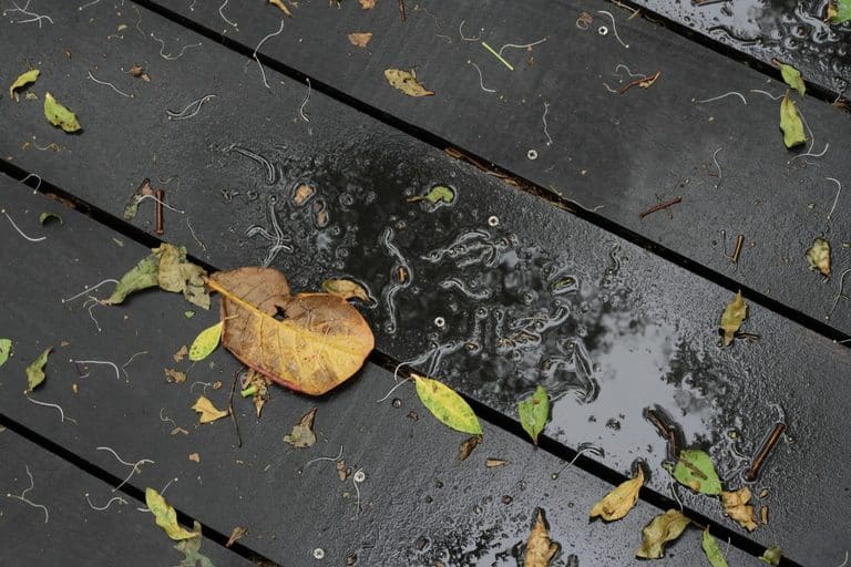 Is Your Deck Ready for Winter? 7 Things to Check This Fall